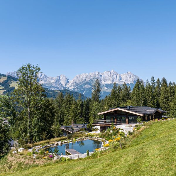 Mountain Mansion
