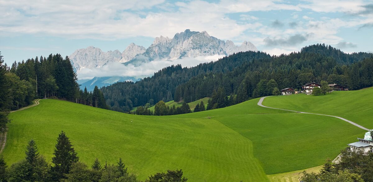 Pure Nature