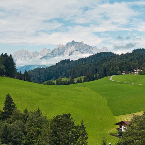 Pure Nature