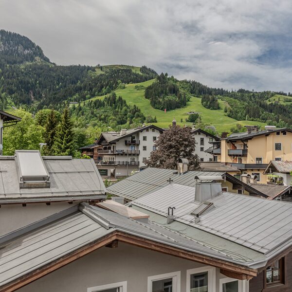 Above the roofs